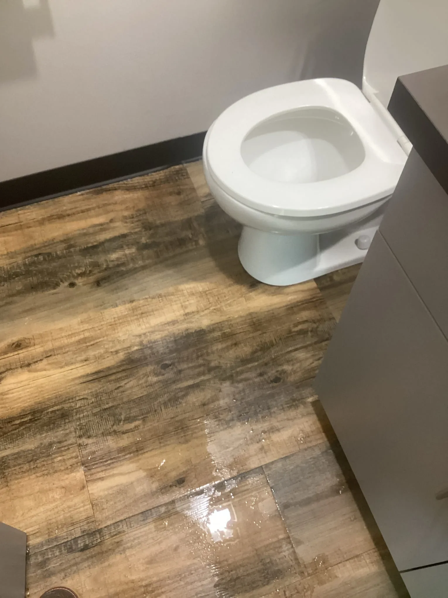 Bathroom floor with water pooled around the base of a toilet