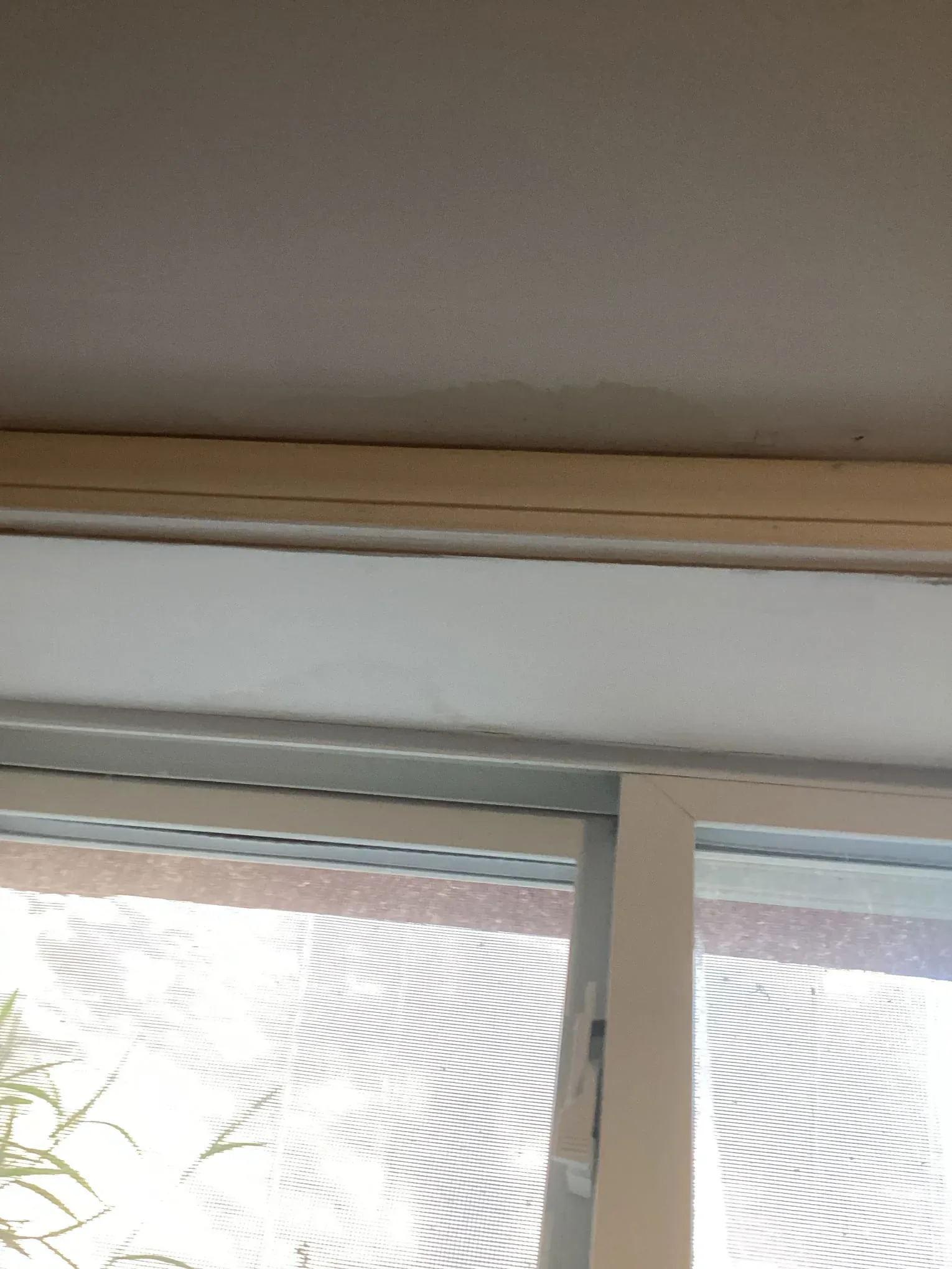 Water damage spreading across a ceiling and down the wall beside a window