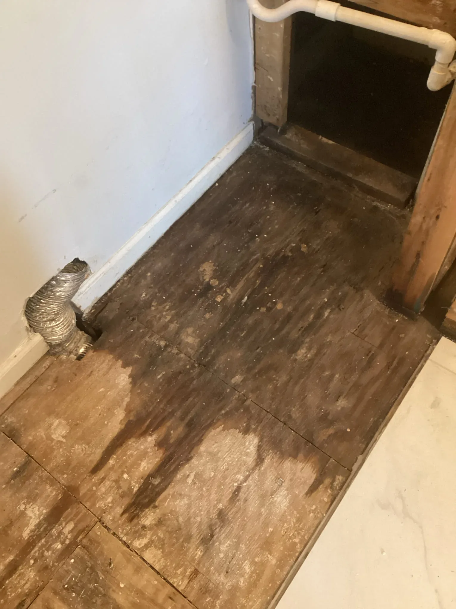 Water staining across a subfloor where it meets the wall