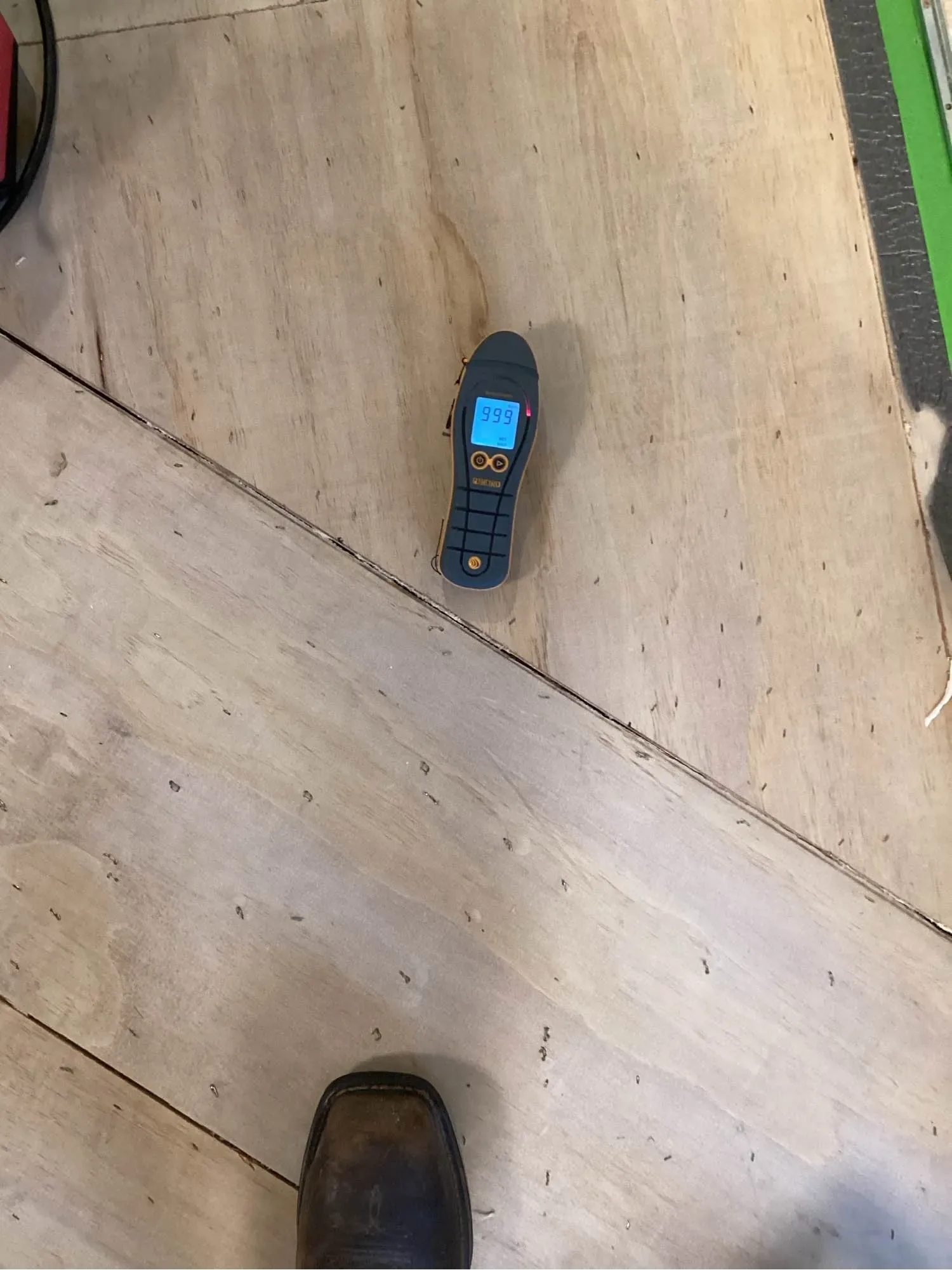 Moisture reading being taken on an exposed subfloor and recorded