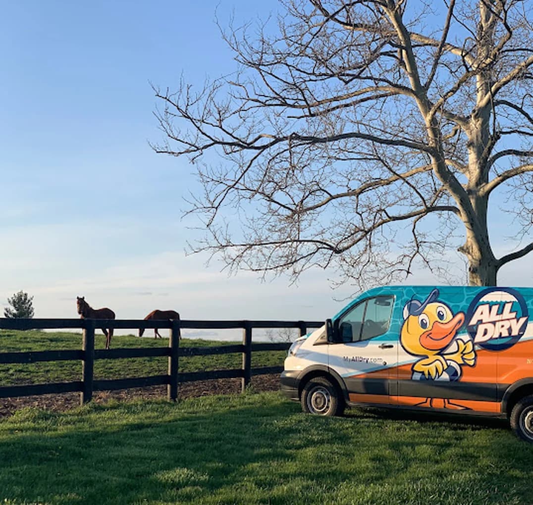 The All Dry Services wrapped van parked beside a black plank fence with horses grazing in the pasture behind